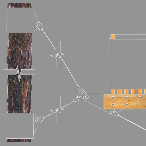 anchor cables attached to trees and perimeter beam