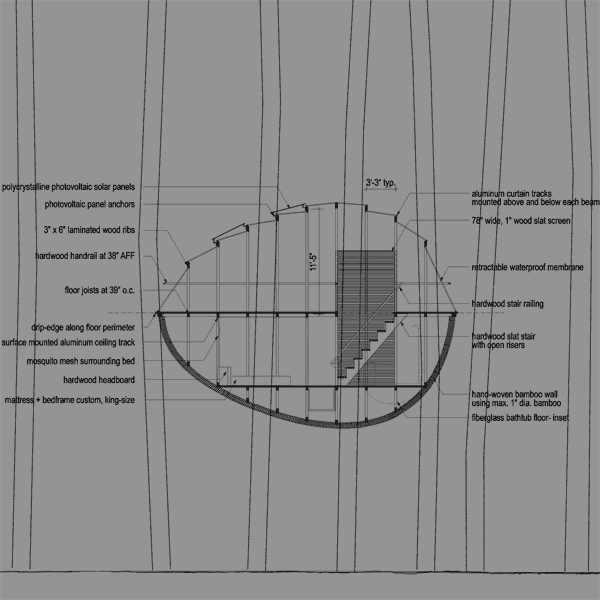 longitudinal section