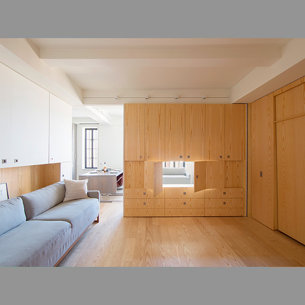 dressing room cabinet separating the sleeping area from the washroom