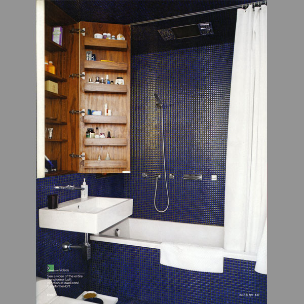 Dwell Magazine Page 1